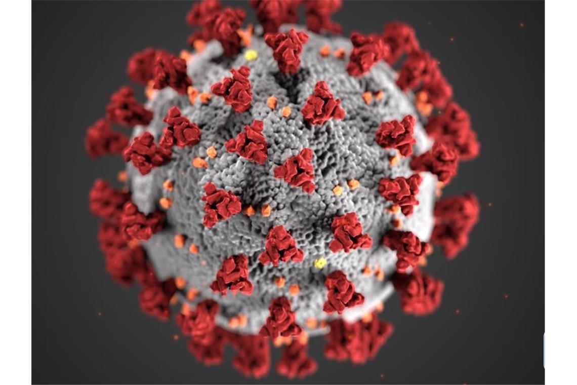 Weltweit haben die Menschen mit der Ausbreitung des Coronavirus zu kämpfen. Foto: Cdc/ZUMA Wire/dpa