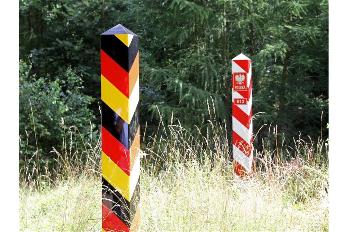 Wenige Kilometer von der deutsch-polnischen Grenze im Spree-Neiße-Kreis ist ein Wildschwein-Kadaver gefunden worden. Foto: Bernd Wüstneck/dpa-Zentralbild/dpa