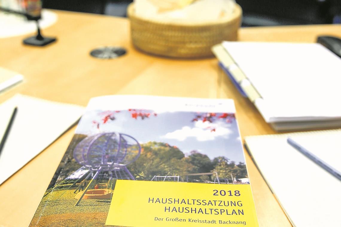 Das Geld ist nicht der Anreiz Wenn beispielsweise der Haushalt auf der Tagesordnung steht, haben die Stadträte in Backnang allerhand damit zu tun, die Sitzungen vor- und nachzubereiten. Foto: A. Becher