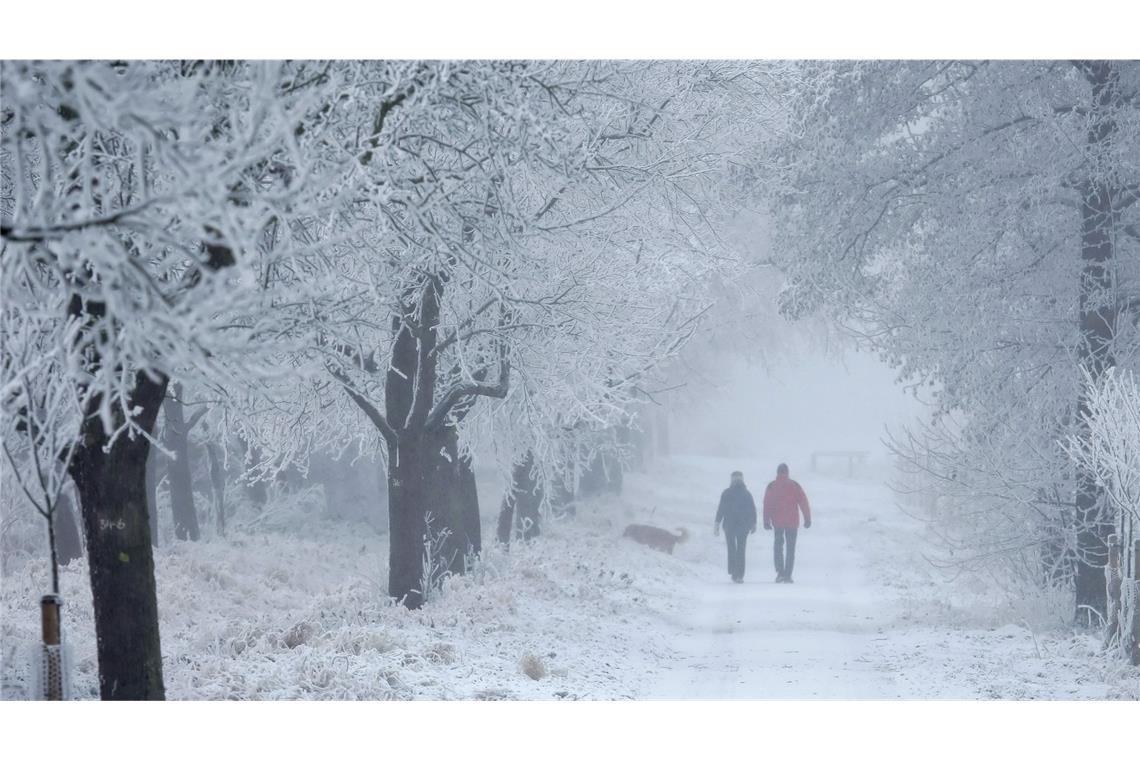 Wenn es extrem kalt ist und regnet oder schneit, können Bäume stark belastet werden. Dann ist Vorsicht geboten.
