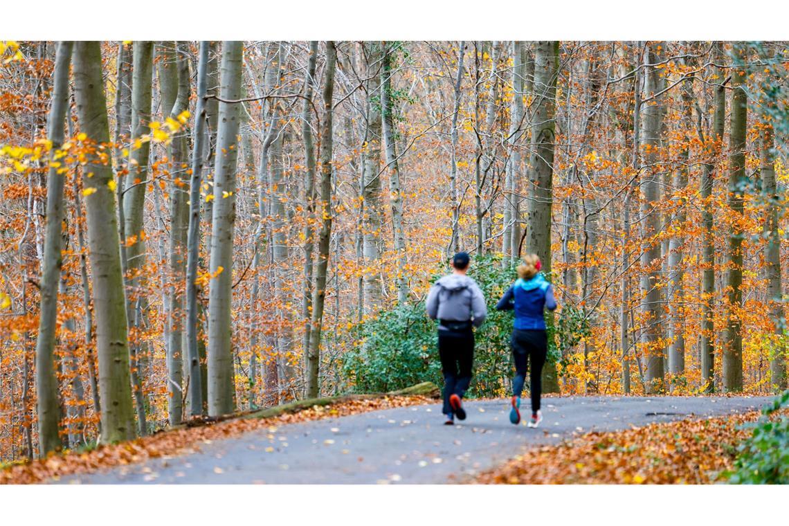 Wochenende wird vielerorts sonnig - Nachtfrost im Osten Wenn sich der Nebel lichtet, wird es in vielen Teilen Deutschlands sonnig.