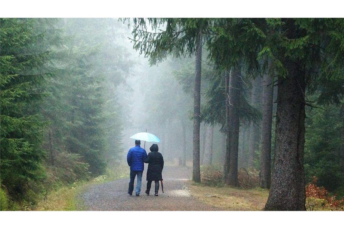 Wenn sich die Luft wenig bewegt, entstehen besonders feine Regentropfen.