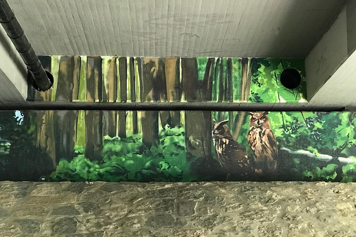 Graffitikünstler aus Backnang Wer durch die Unterführung im Zeller Weg in Backnang läuft, läuft quasi durch einen Wald.