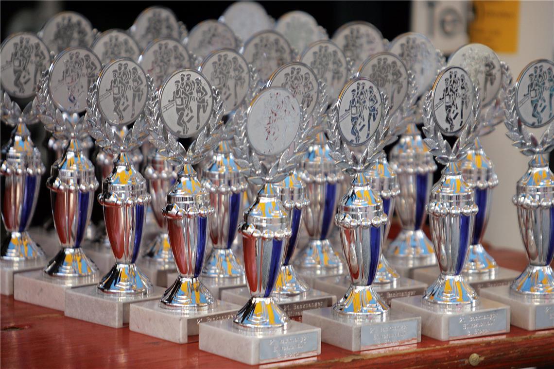 Wer für welche Leistung welche Ehrung erhält: Das wurde jetzt neu festgelegt. Symbolfoto: Andrea Wahl