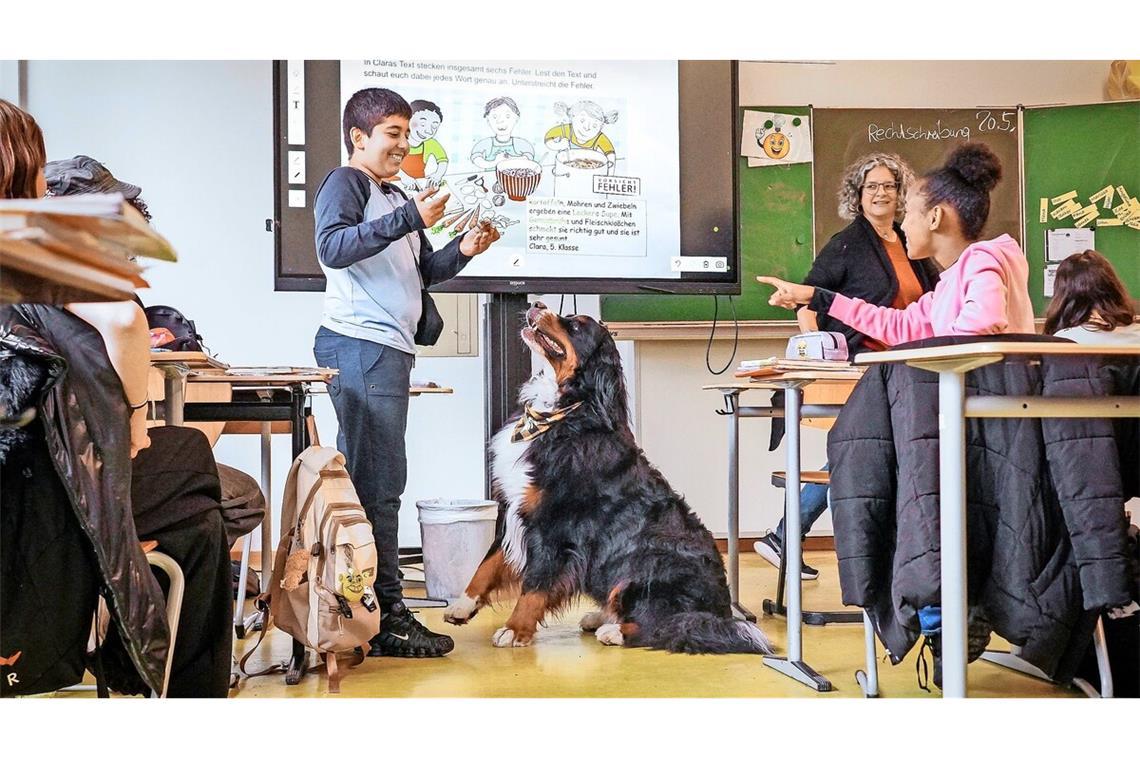 Wer gut mitarbeitet, darf Schulhund Alfred ein Leckerli zur Belohnung geben.