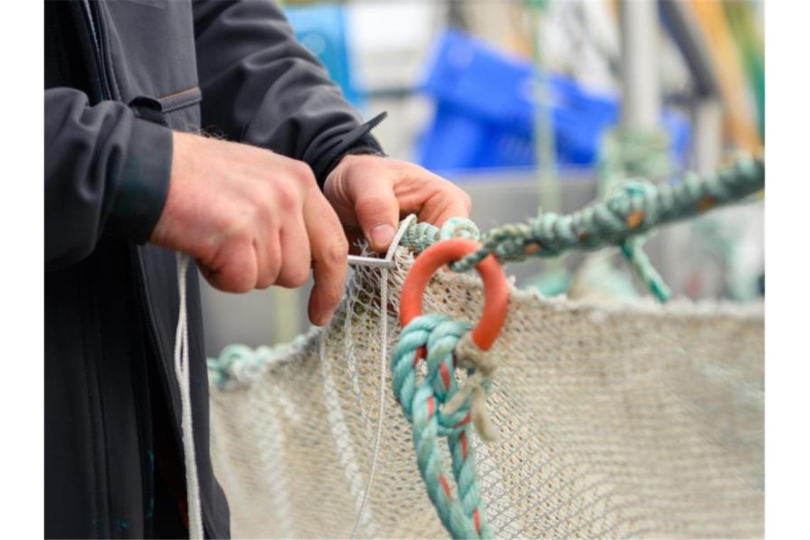 Minister sollen schädliche Fischerei-Hilfen stoppen
