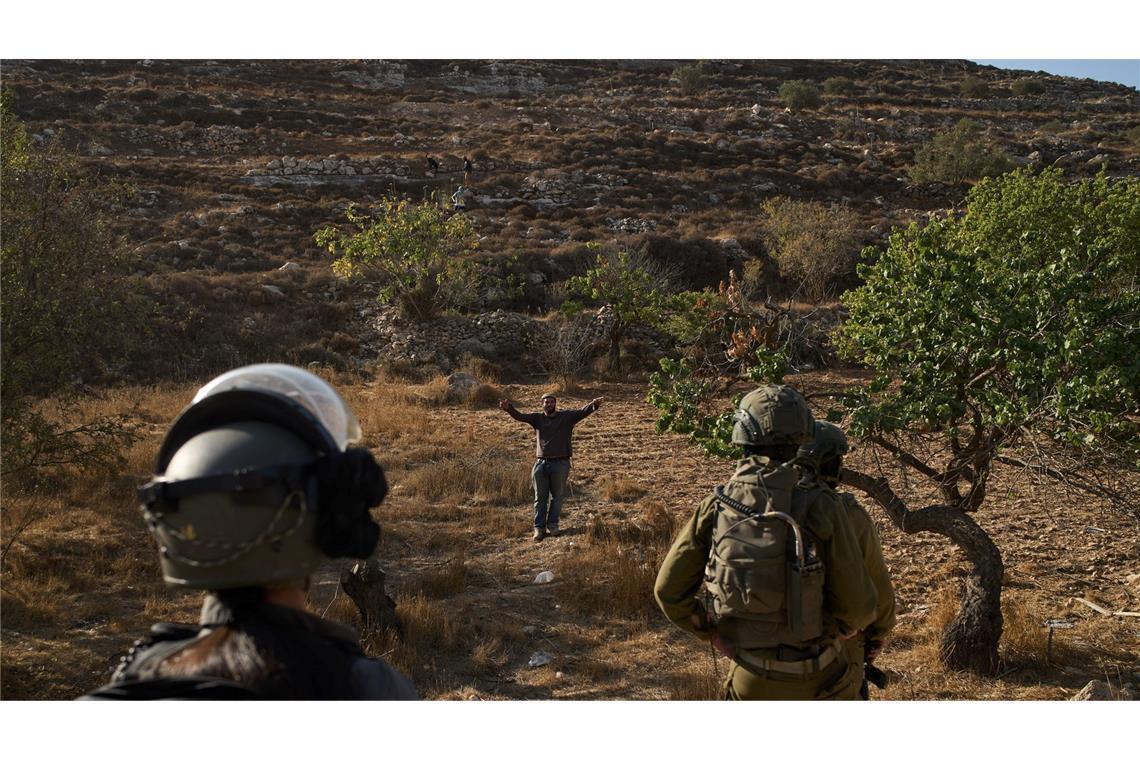 Westjordanland: Soldaten blockieren Palästinensern Zugang zu Olivenhainen