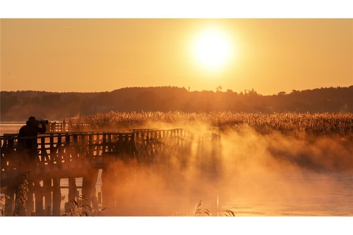 Bilder des Tages