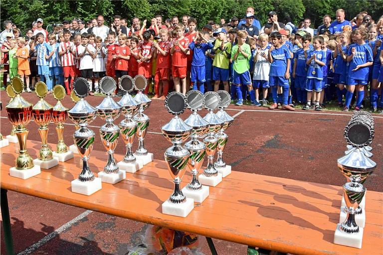 Wie in Murrhardt im vergangenen Jahr stehen auch am kommenden Wochenende in Unterweissach die Siegerpokale im Fokus der jüngsten Nachwuchsfußballer der Region. Zwei Tage lang sind rund 700 E- und F-Jugendliche in vier Wettbewerben am Ball. Archivfoto: Tobias Sellmaier