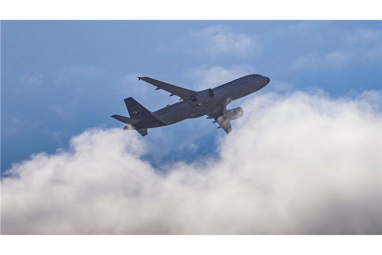 Wie kann ein Passagier die Umweltauswirkungen des Fliegens kompensieren?