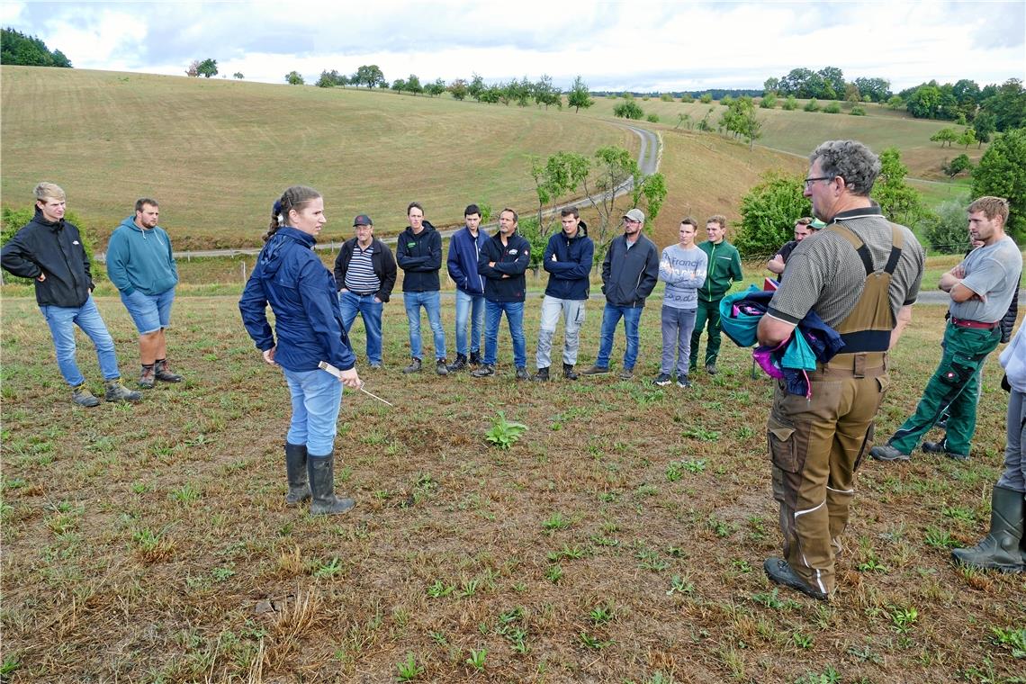 Vor dem Regen herrscht lange Trockenheit Wie mit dem Trockenstress im Grünland umgehen? Nicole Schneider vom Beratungsdienst Milchvieh und Futterbau analysiert mit Landwirten aus dem Murrhardter Raum die Lage vor Ort in Hinterwestermurr: „Hier wächst dieses Jahr kein Schnitt mehr.“ Foto: Ute Gruber