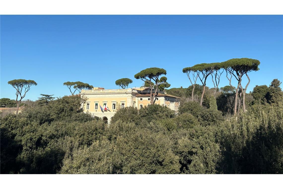 Wie Riesen ragen die Prachtpinien aus Roms Stadtbild heraus.