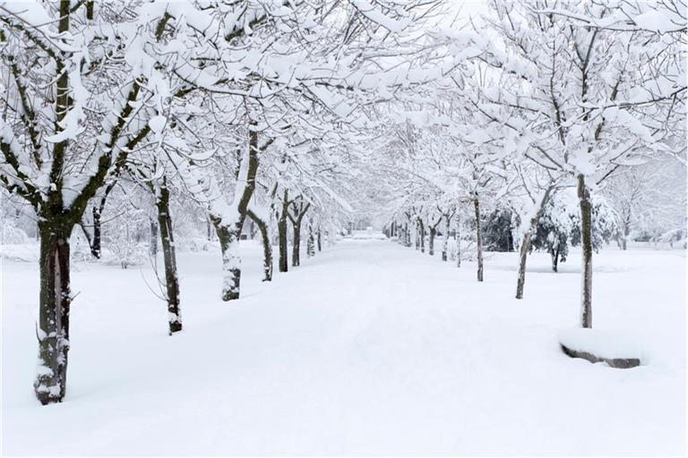 Wie stehen die Chancen auf weiße Weihnachten?