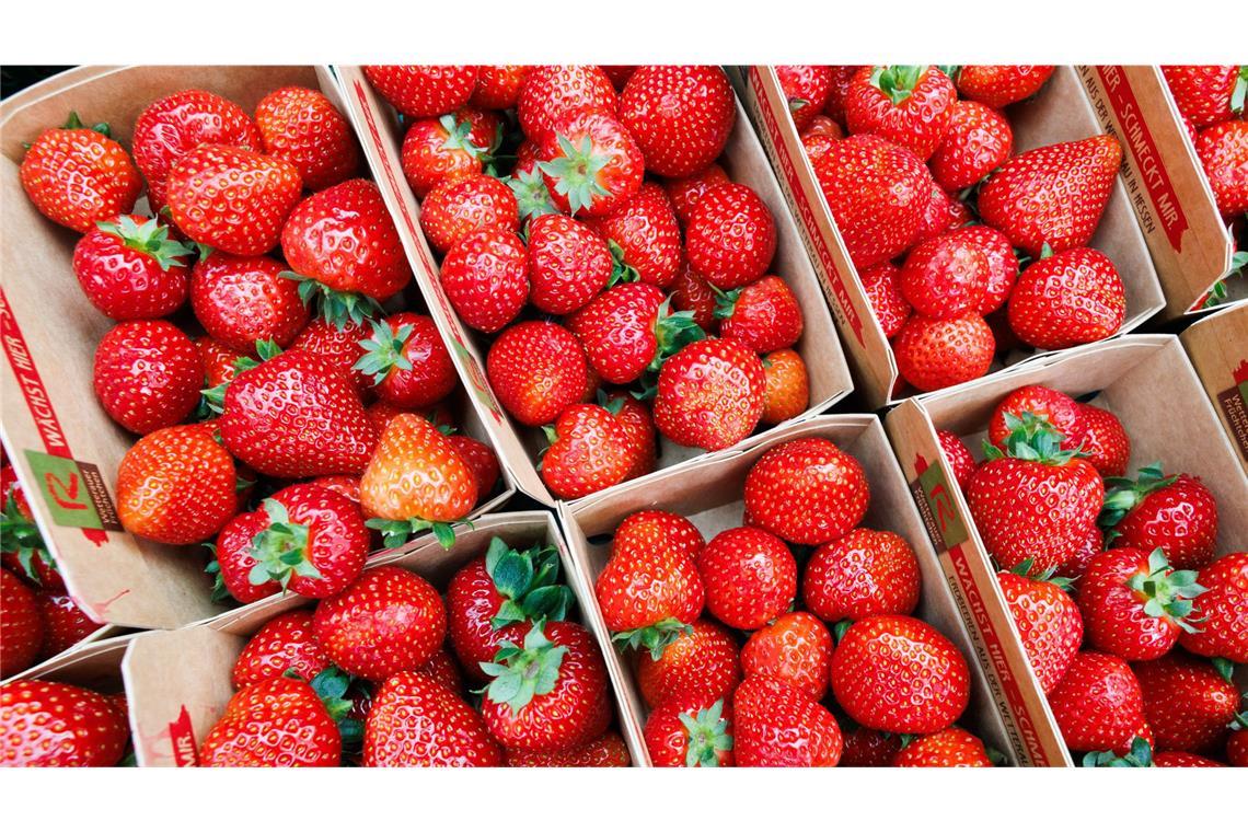 Erdbeeren und Spargel aus Deutschland bald zu teuer? Wie steht es um die Erdbeerpreise?