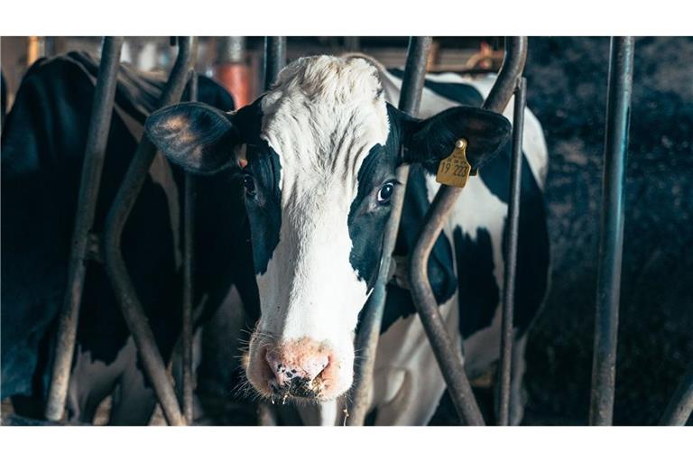 Wie steht es um die Nachhaltigkeit bei der Tierhaltung?