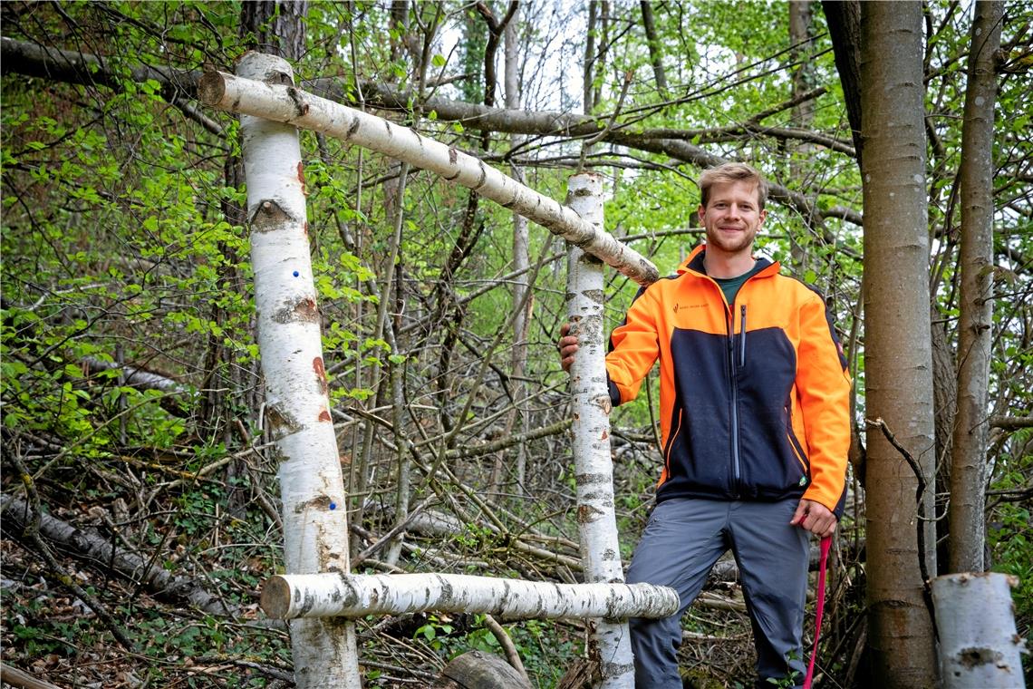 Wie verändert sich ein Wald, wenn viele Bäume gefällt werden? Mit den Waldfenstern will Förster Paul Bek die Radler auf dem Weg zwischen Burgstall und Kirchberg an der Murr dazu animieren, sich mit den positiven Seiten der Aktion auseinanderzusetzen.  Foto: A. Becher