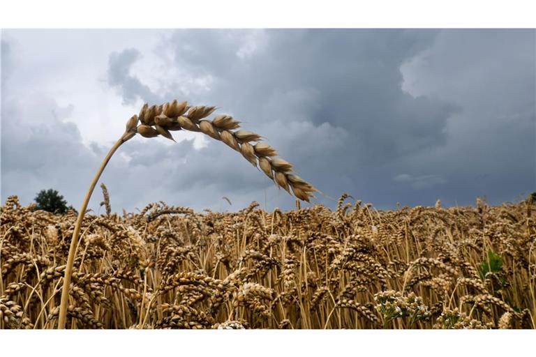 Wie wird das Wetter im Südwesten?