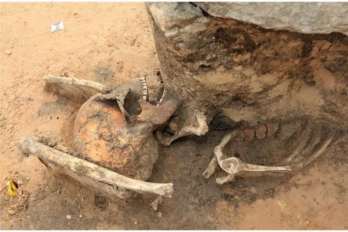 Warum fürchten sich Menschen vor Untoten? Wiedergängergrab: Bei Ausschachtungen für eine ICE Trasse in Klein Gräfendorf in Sachsen fanden Archäologen das Skelett eines Mannes, das   mit riesigen Steinen beschwert worden.