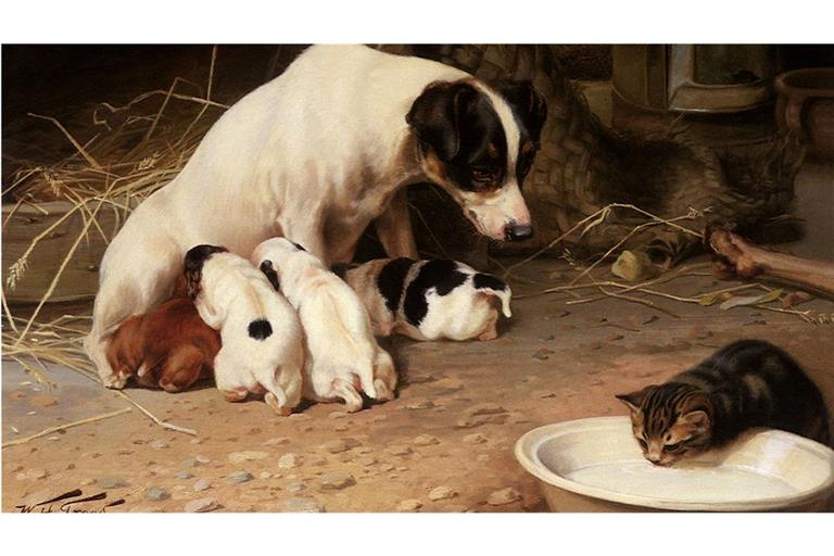 Wildlebende Hunde- und Katzenartige bewegen sich auf grundlegend unterschiedliche Weise durch ihre Heimatgebiete.