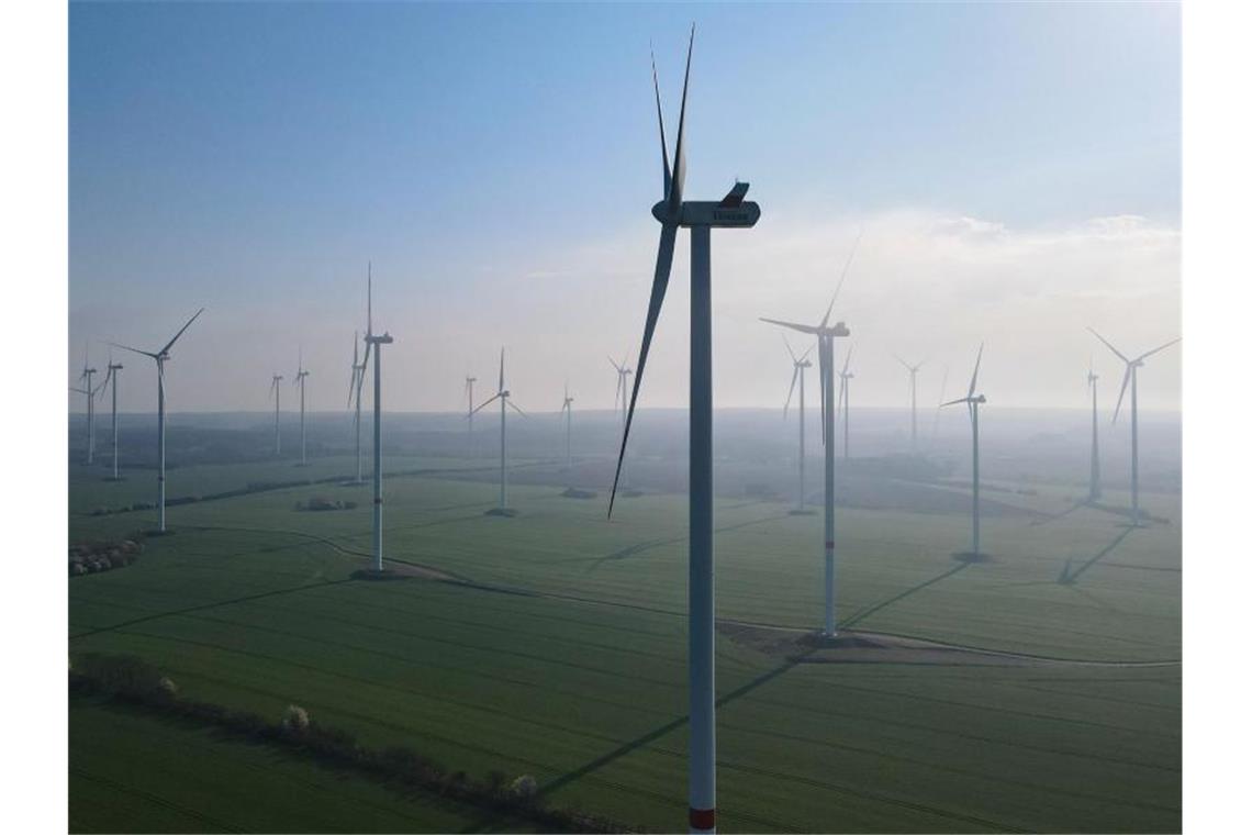 Windenergieanlagen im Windpark „Odervorland“ im Landkreis Oder-Spree. Foto: Patrick Pleul/dpa-Zentralbild/dpa