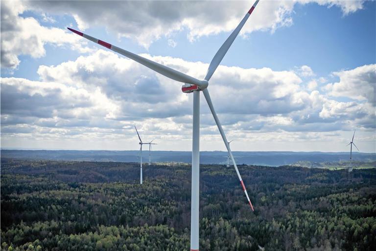 Windkraft im Wald wie in Sulzbach-Laufen? Ein Gutachten der Bürgerinitiative will aufzeigen, warum das keine gute Idee ist. Foto: Alexander Becher