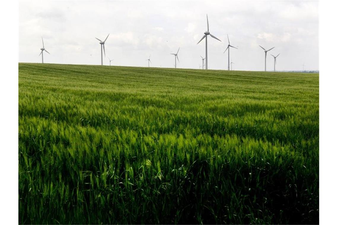 Windkraftanlagen hinter einem Feld. Foto: Roland Weihrauch/dpa/Symbolbild