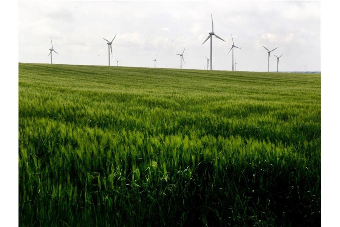 Äcker für Strom oder fürs Essen Windkraftanlagen hinter einem Feld. Foto: Roland Weihrauch/dpa/Symbolbild