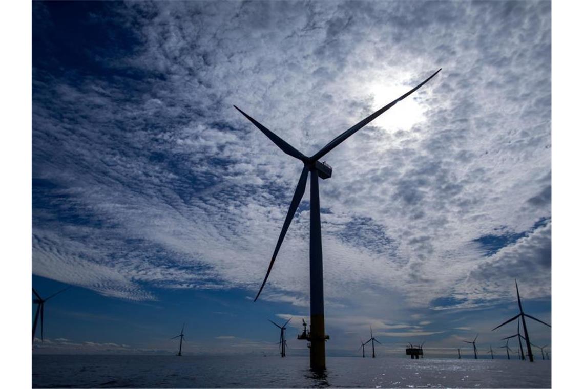 Deutsche Firmen wollen bei britischen Windparks mitanpacken Windräder des Offshore-Windparks „Baltic 2“ vor Rügen. Foto: Jens Büttner/dpa-Zentralbild/dpa