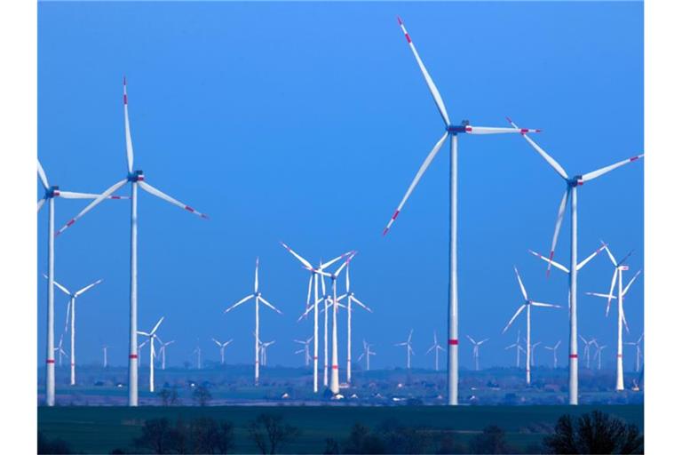 Windräder drehen sich nach Sonnenuntergang in einem Windpark in Pasewalk (Mecklenburg-Vorpommern). Foto: Jens Büttner/dpa-Zentralbild/dpa