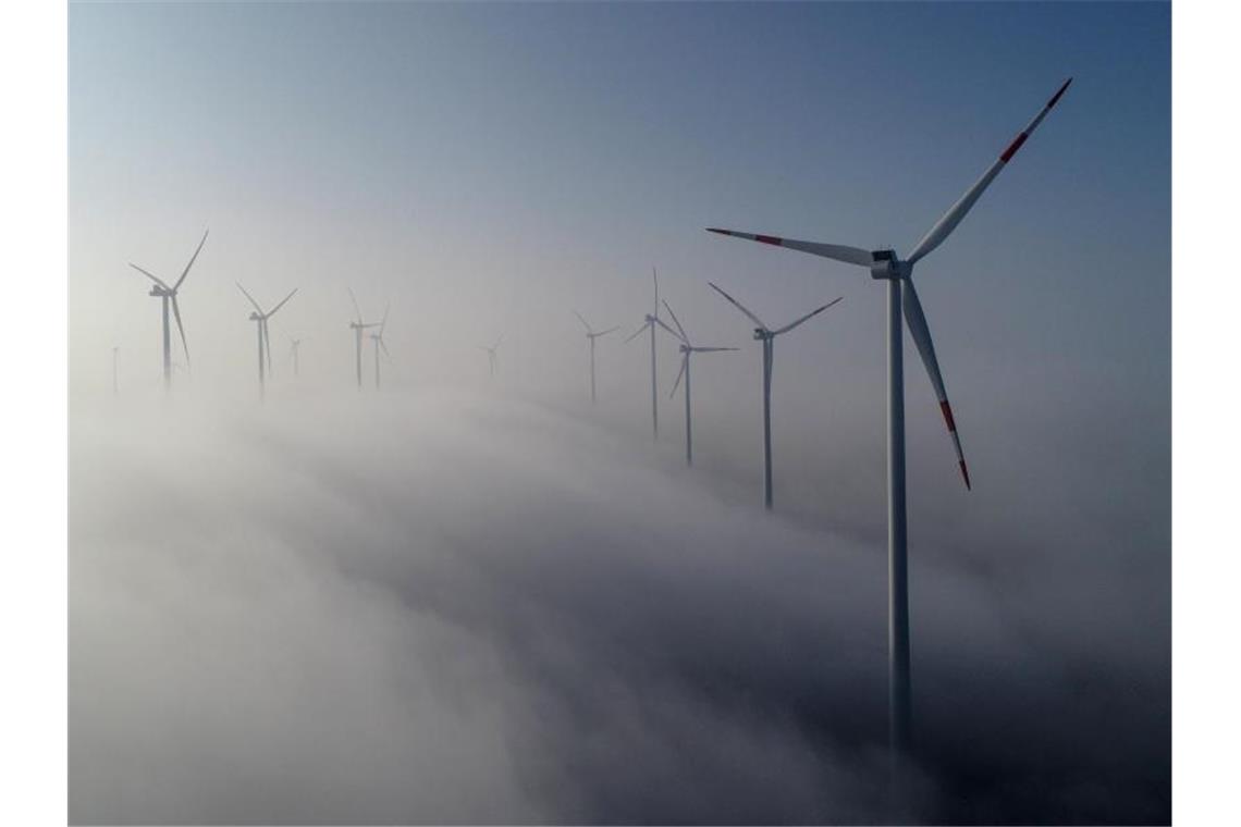 Windräder im Windenergiepark „Odervorland“ im Landkreis Oder-Spree. Foto: Patrick Pleul