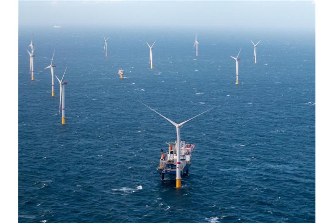 Weitere Flächen für Offshore-Windenergie vorgeschlagen Windräder in der Nordsee vor Belgien. Foto: Kurt Desplenter/BELGA/dpa