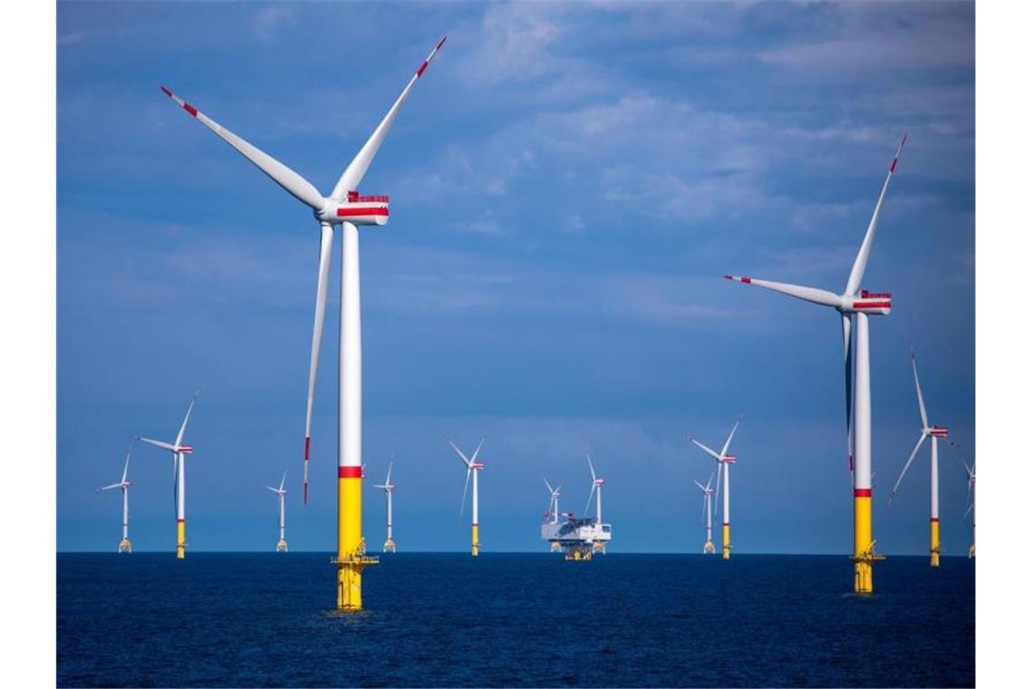 Windkraft: Netzbetreiber warnt vor Stillstand in der Ostsee