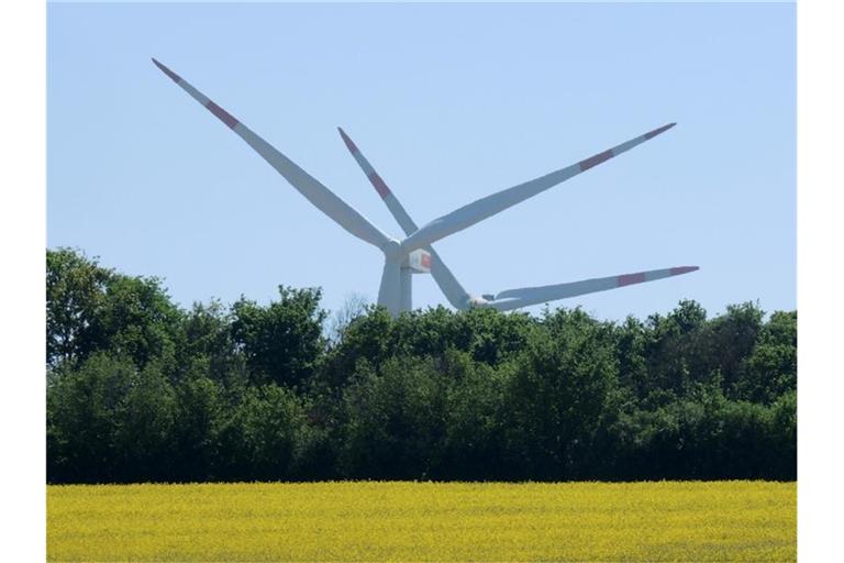 Windräder ragen hinter einem Wäldchen in Rheinland-Pfalz hervor. Foto: Roland Holschneider/dpa