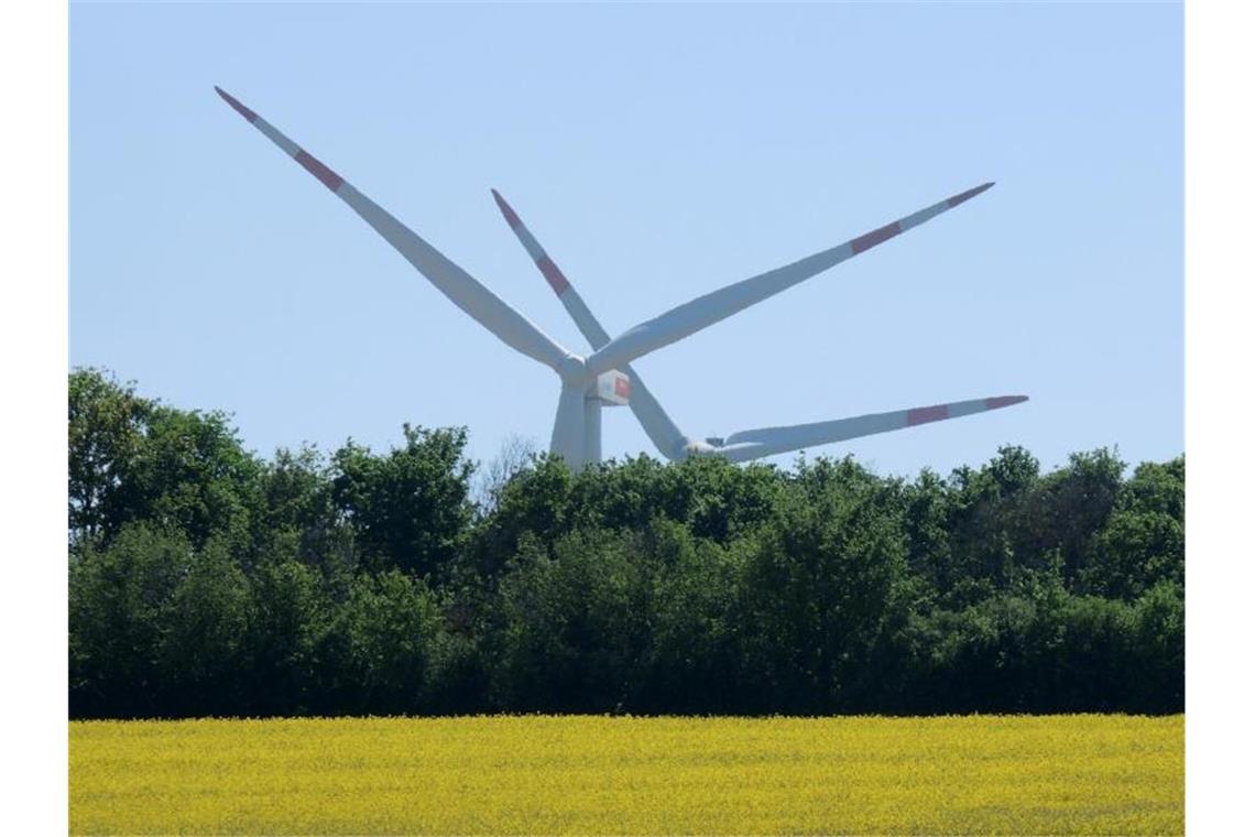 Windräder stehen hinter einem Wäldchen und einem blühenden Rapsfeld. Foto: Roland Holschneider/dpa