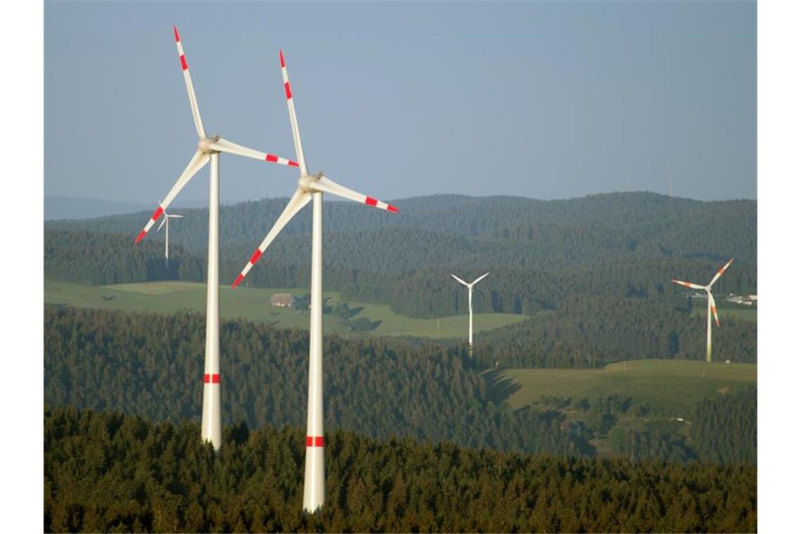 Windräder stehen in einem Waldstück auf einer Anhöhe. Foto: Patrick Seeger/Archivbild