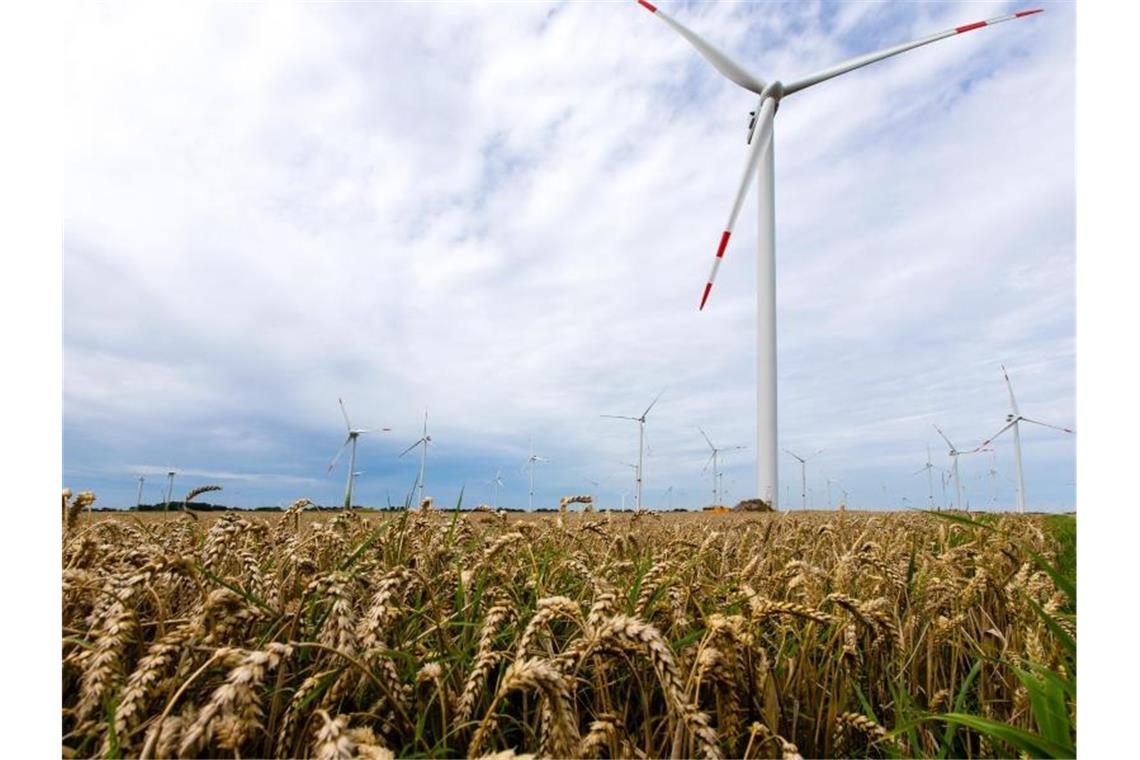 Windkraft-Ausbau: Altmaier will „nationalen Konsens“ Windräder zwischen Heide und Büsum in Schleswig-Holstein. Foto: Frank Molter