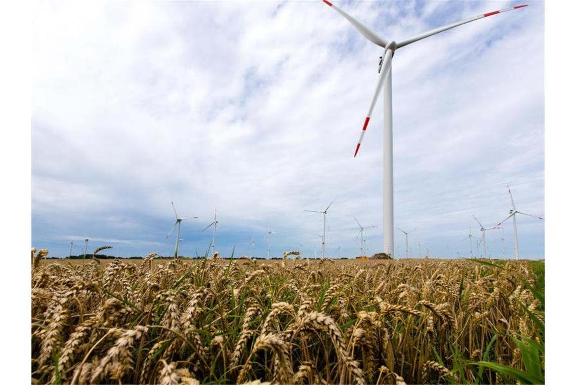 Windräder zwischen Heide und Büsum in Schleswig-Holstein. Foto: Frank Molter