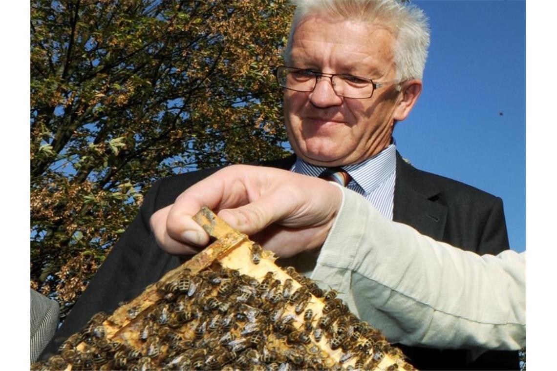 Bienen-Volksbegehren: Spitzentreffen geplant Winfried Kretschmann (Bündnis 90 / Die Grünen) betrachtet ein Bienenvolk. Foto: Bernd Weissbrod/dpa/Archivbild