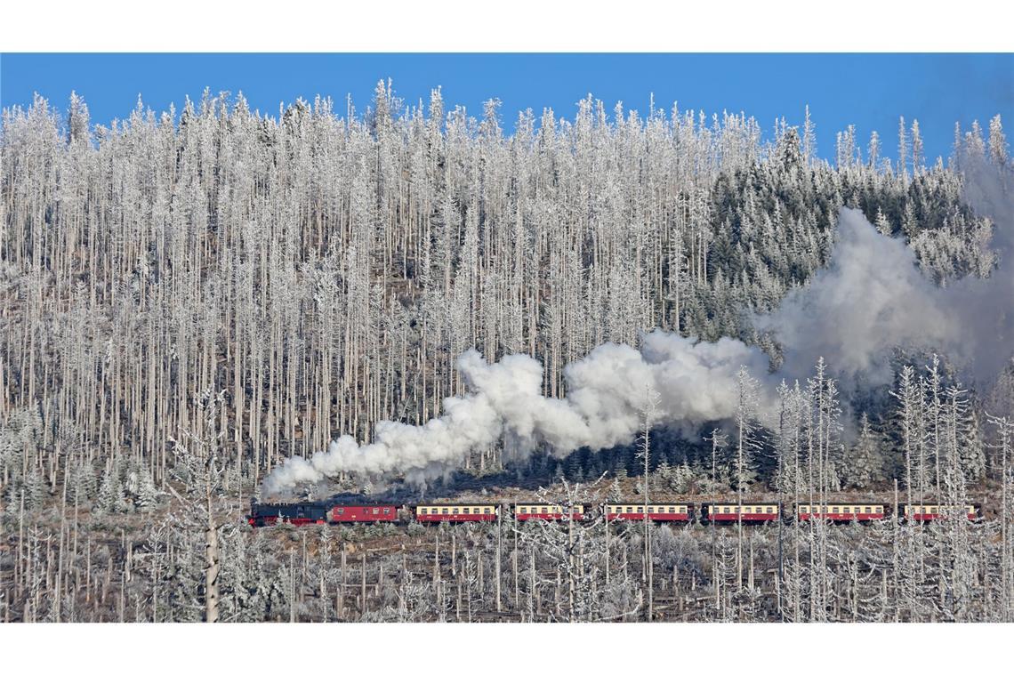 Wintermärchen am Brocken: Sonnige Fahrt mit der Harzer Schmalspurbahn
