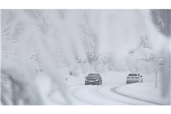 Winterszenen im Schwarzwald (Archiv).