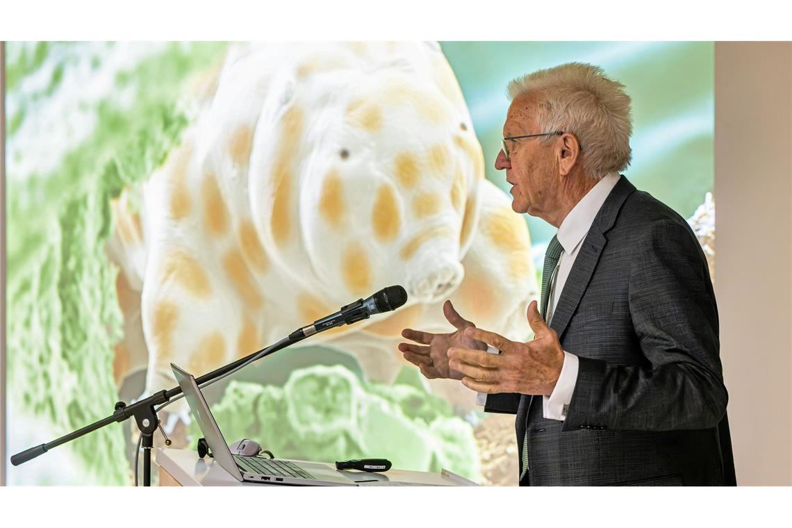 Winzig und doch bärenstark: Die neu entdeckte Bärtierchenart "Ramazzottius kretschmanni".
