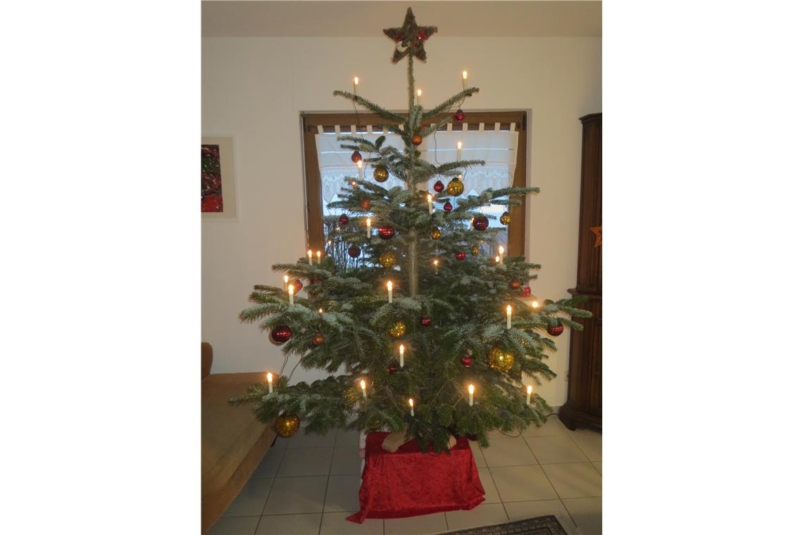 Wir haben in diesem Jahr unseren Weihnachtsbaum nur mit "Murano-Kugeln" geschmüc...