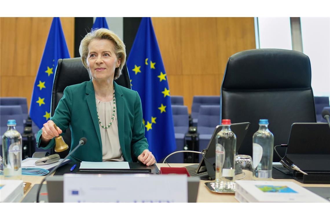 "Wir müssen mehr europäisch einkaufen", sagt EU-Kommissionspräsidentin Ursula von der Leyen.