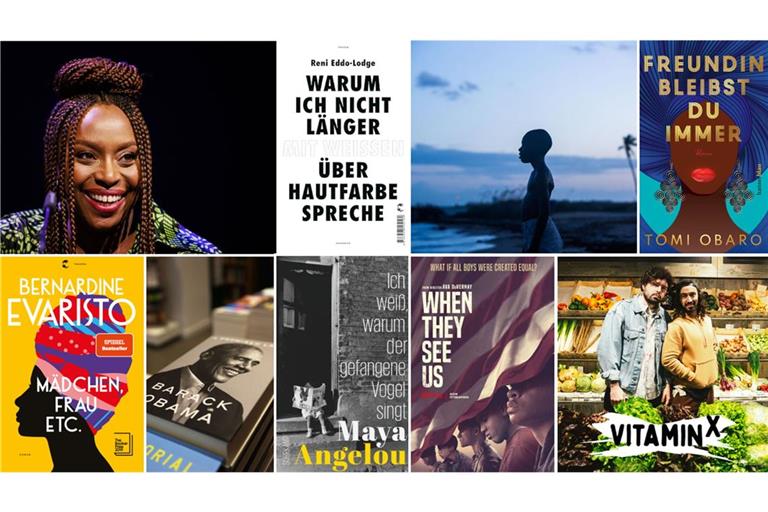 Wir stellen neun Werke vor, darunter einen TedTalk von Chimamanda Ngozi Adichie (IMAGO/Luka Dakskobler) und den Film „Moonlight“ (DCM/David Bornfriend).