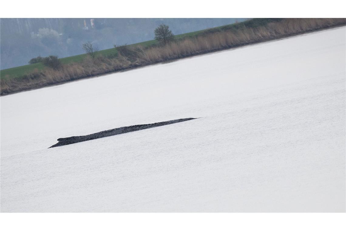 Wird der Wal nun doch gerettet?