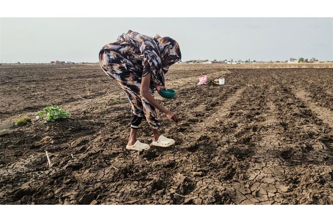 Wird diese Saat eine Ernte bringen? Auch im Sudan fürchtet man die Folgen von El Niño.