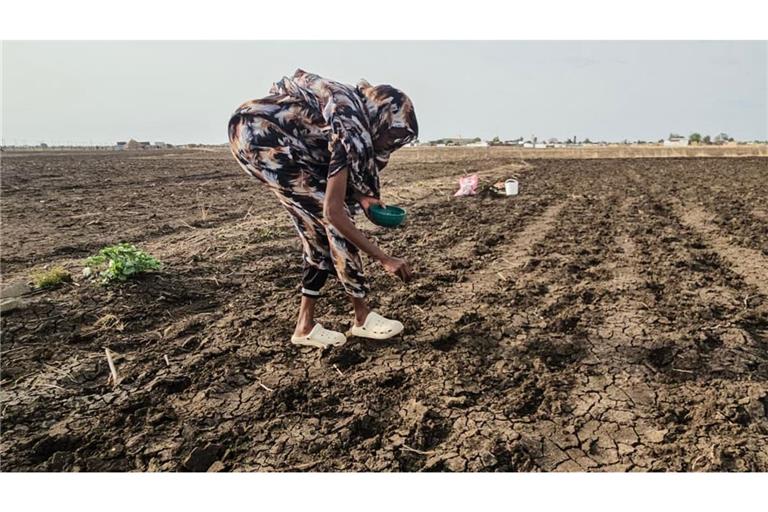 Wird diese Saat eine Ernte bringen? Auch im Sudan fürchtet man die Folgen von El Niño.