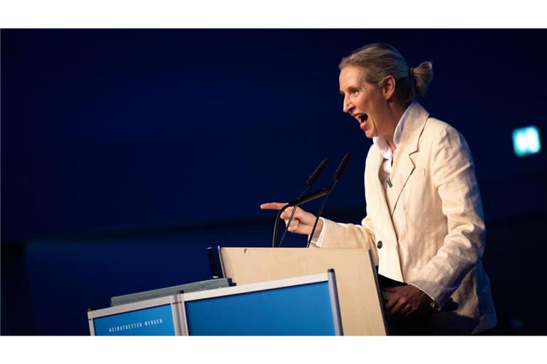 Wird in dem Szenario des Buchs „Deutschland 2033“ in sieben Jahren Bundeskanzlerin: AfD-Chefin Alice Weidel.