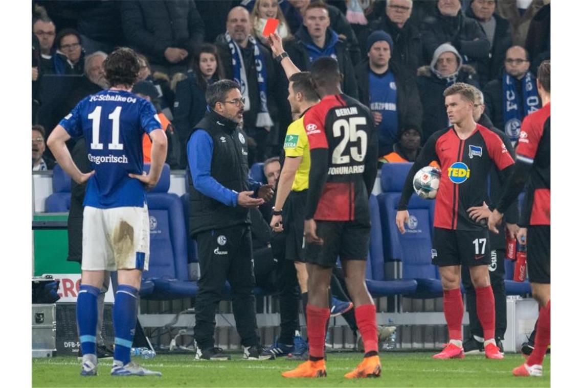 Wird nach seiner Roten Karte nicht gesperrt: Schalke-Coach David Wagner. Foto: Bernd Thissen/dpa