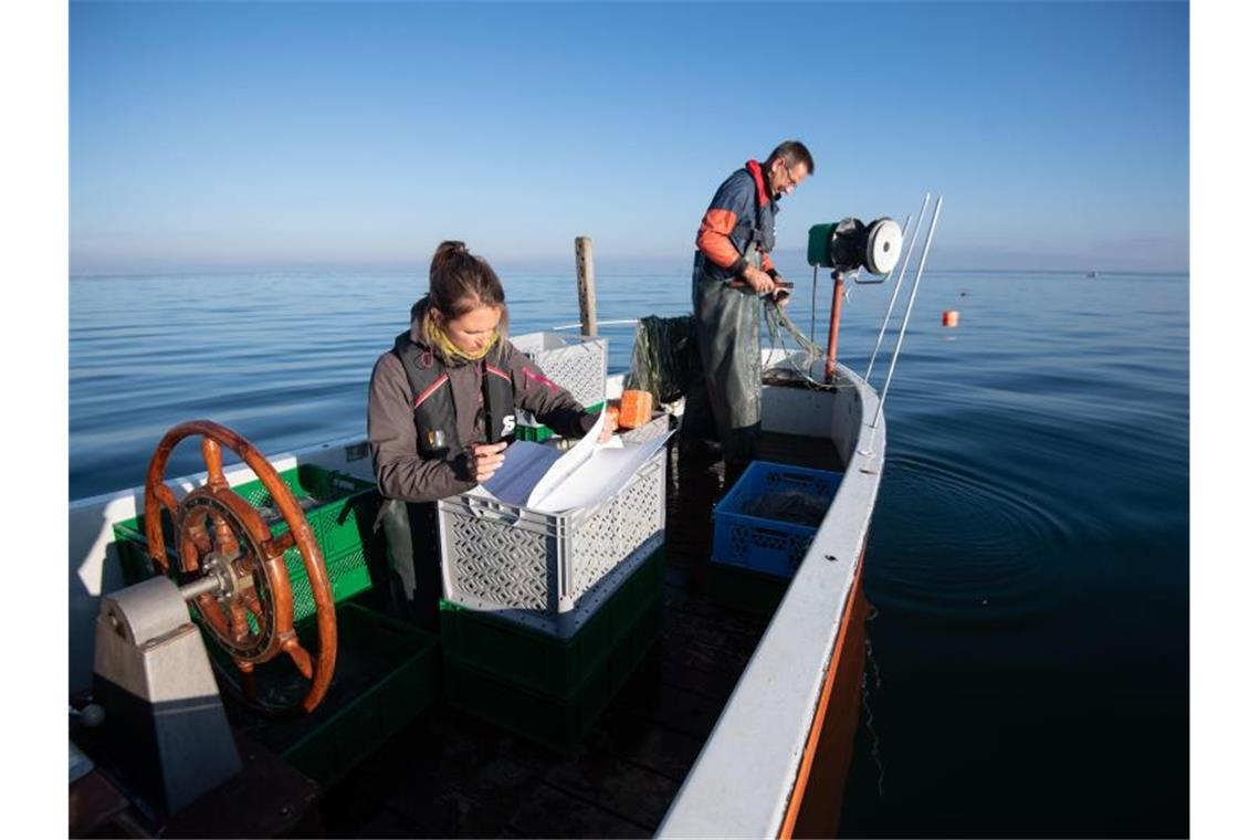 Wissenschaftler der Fischereiforschungsstelle auf einem Forschungsboot. Foto: Marijan Murat